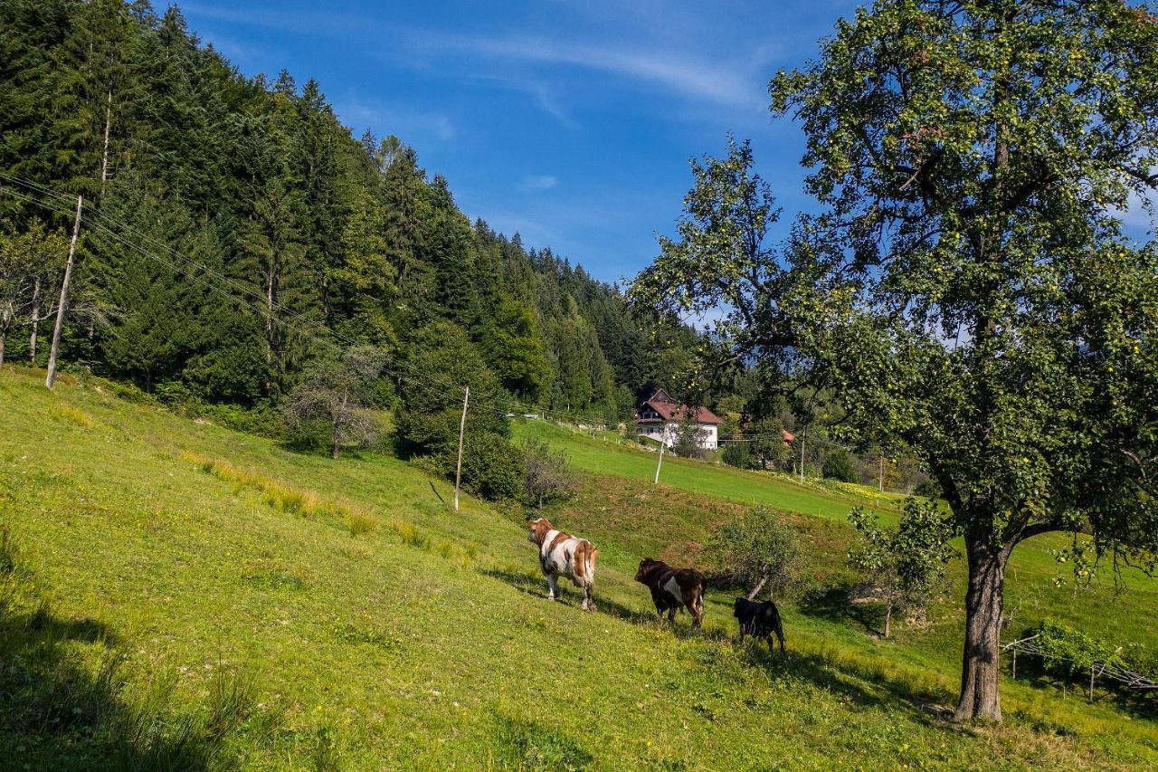 Apartament Rose Garden Ljubno Zewnętrze zdjęcie