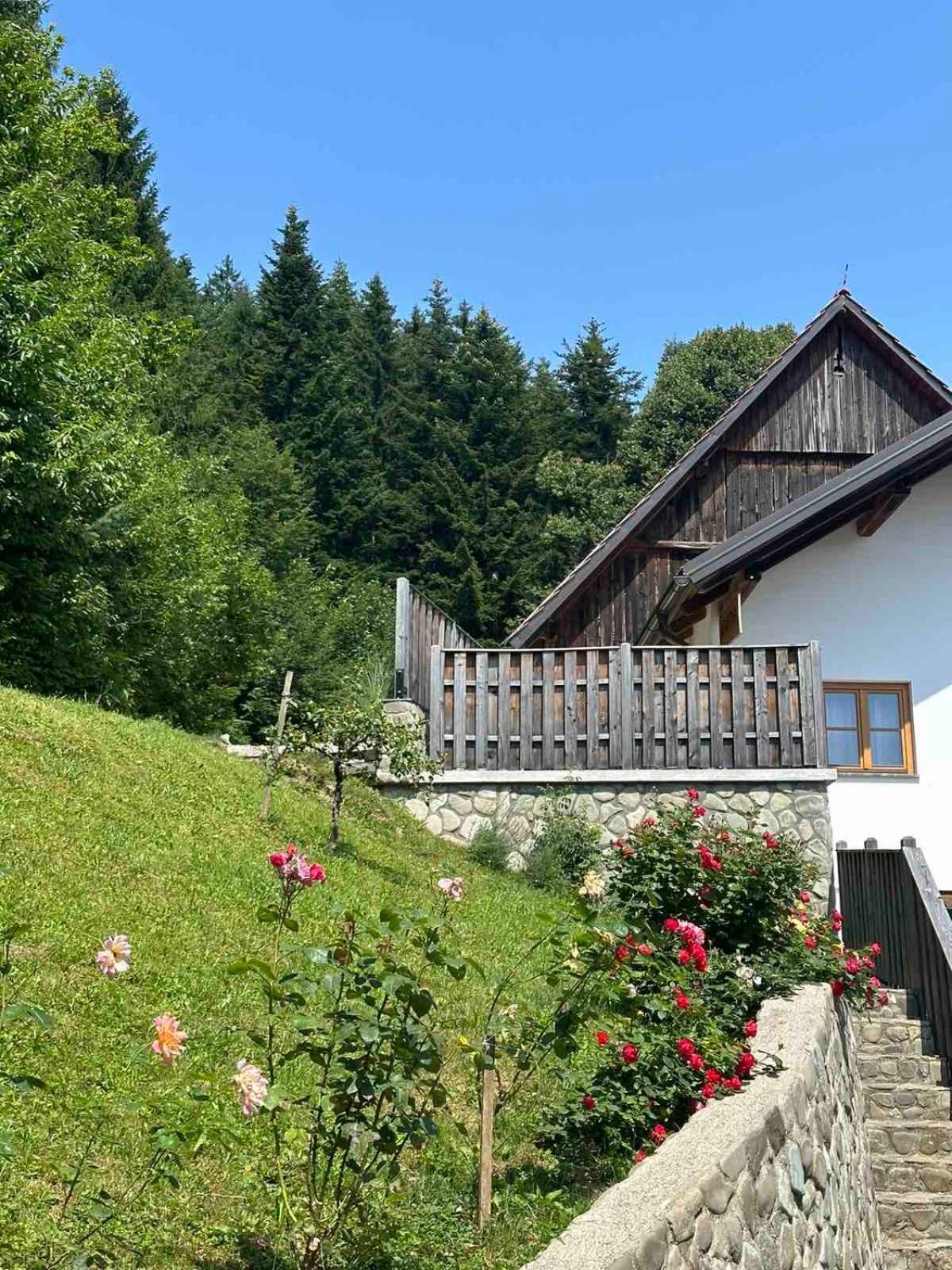 Apartament Rose Garden Ljubno Zewnętrze zdjęcie